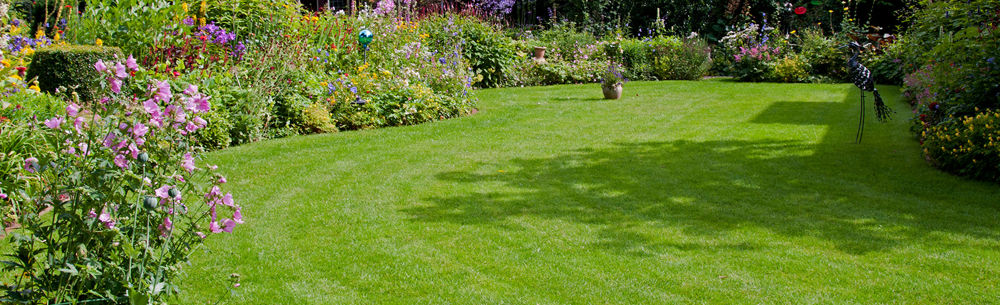 Sådan får du en flot græsplæne!